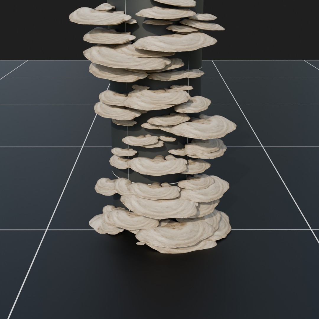 Forest Floor Mushroom Collection 1